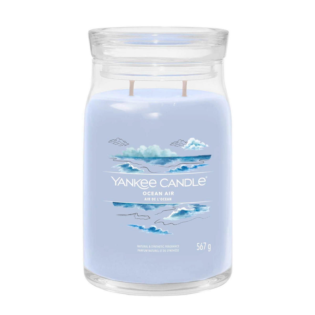 SVIJEĆA MIRISNA   - Basics, staklo (9,3/15,7/9,3cm) - Yankee Candle