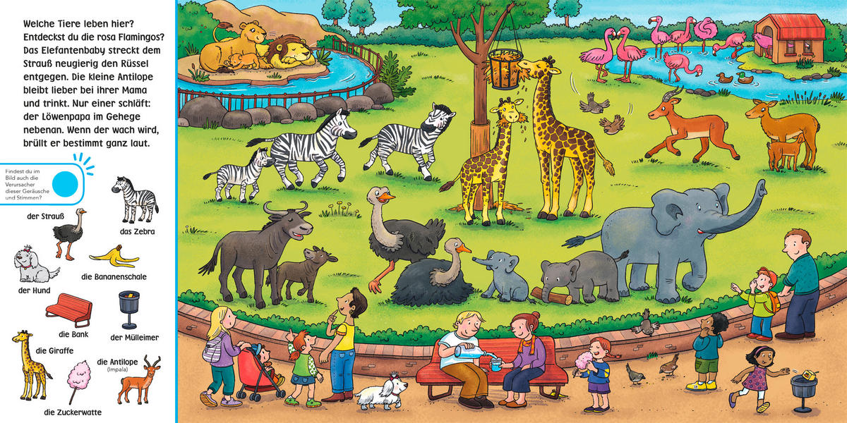 SOUNDBUCH - Basics (17,9/17,8/1,90cm) - Carlsen