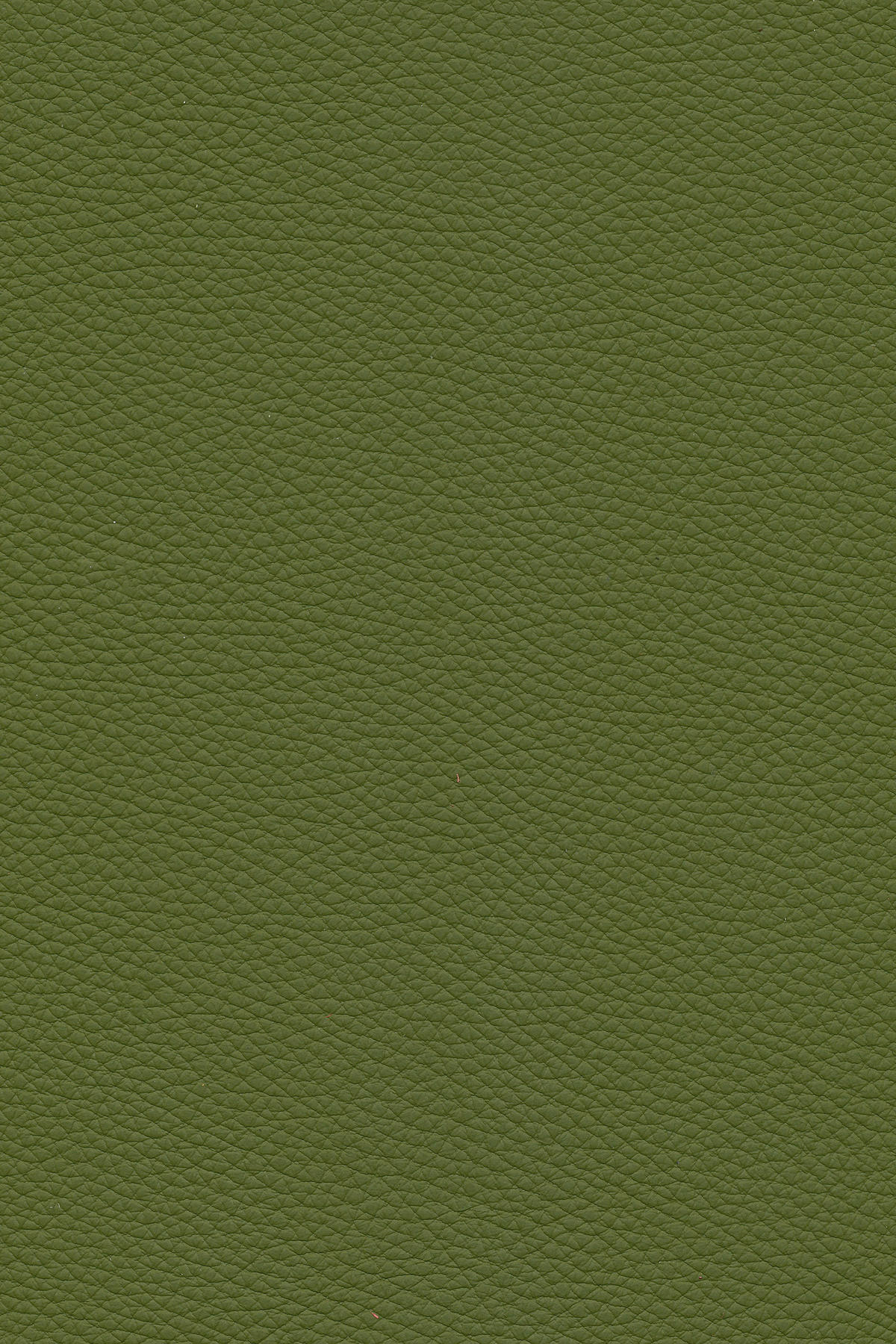 ECKSOFA in Echtleder Grün  - Schwarz/Grün, Design, Leder/Metall (319/182cm) - Valnatura