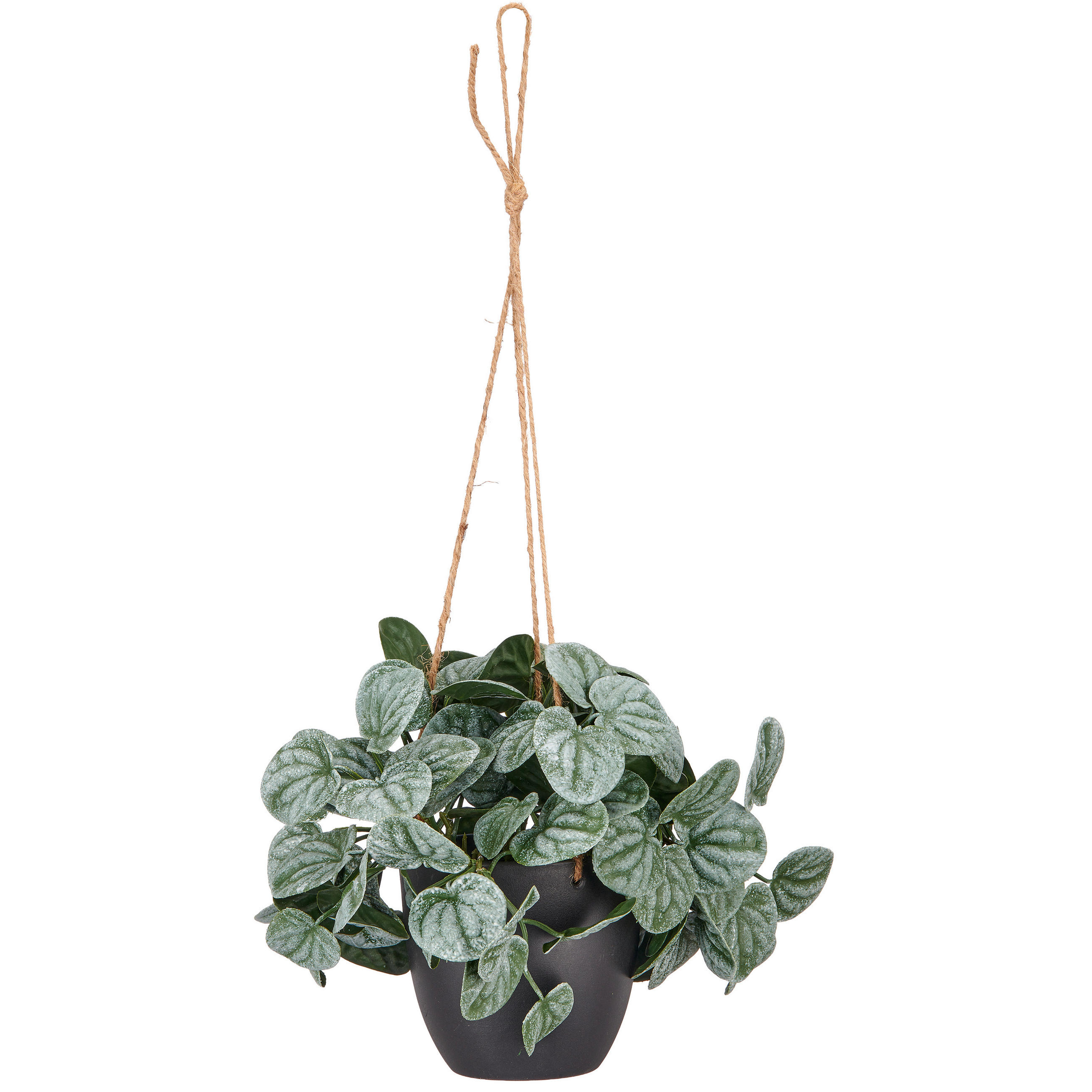 KUNSTPFLANZE 20 cm  - Schwarz/Grün, Basics, Kunststoff (20cm)