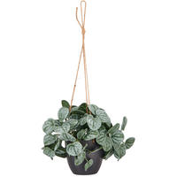 KUNSTPFLANZE 20 cm  - Schwarz/Grün, Basics, Kunststoff (20cm)