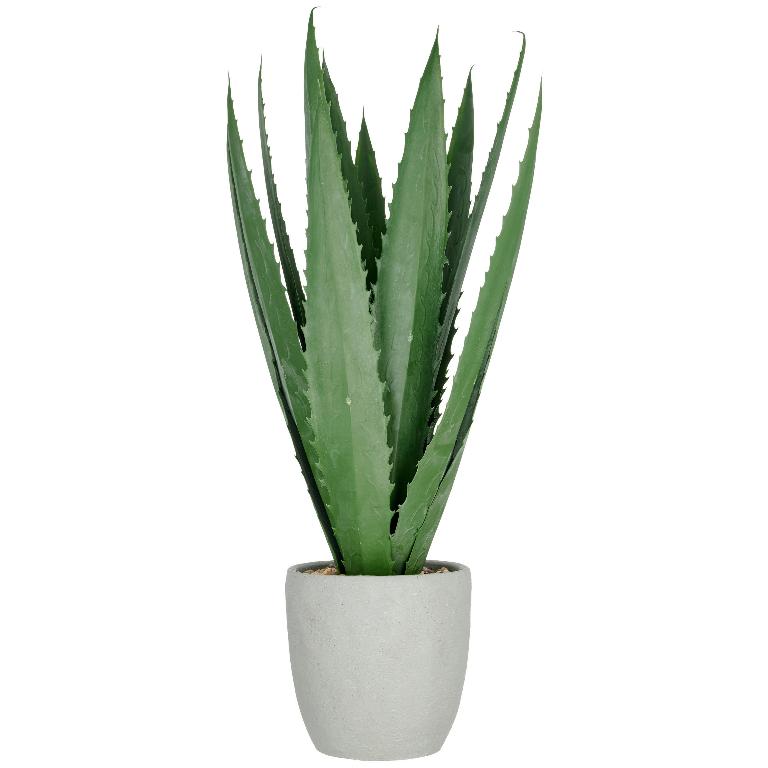 KUNSTPFLANZE Agave  - Grün, Basics, Kunststoff (60/80/40cm) - P & B