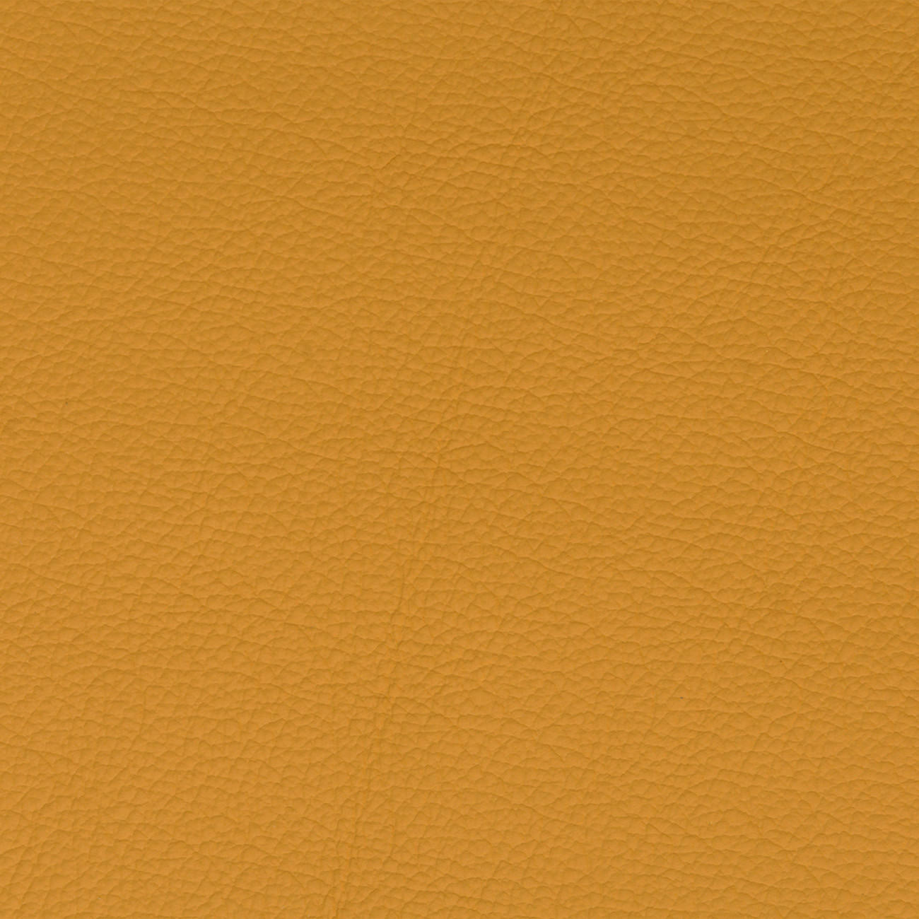 2,5-SITZER  in Echtleder Currygelb   - Currygelb/Schwarz, KONVENTIONELL, Leder/Metall (202/90/122cm) - Sit & More