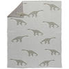 SCHMUSEDECKE  80/100 cm  - Grau, Basics, Textil (80/100cm) - Avelia