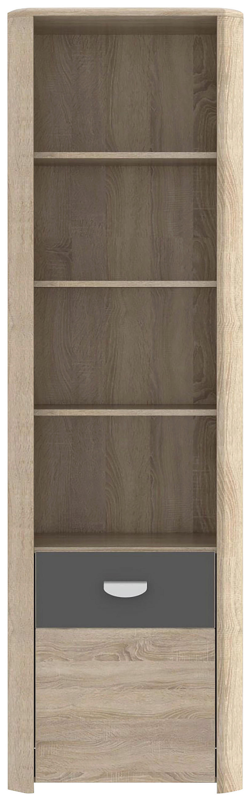 REGAL 59/194/41 cm antracit, hrast sonoma  - barve hrasta/barve aluminija, Design, leseni material (59/194/41cm) - Carryhome