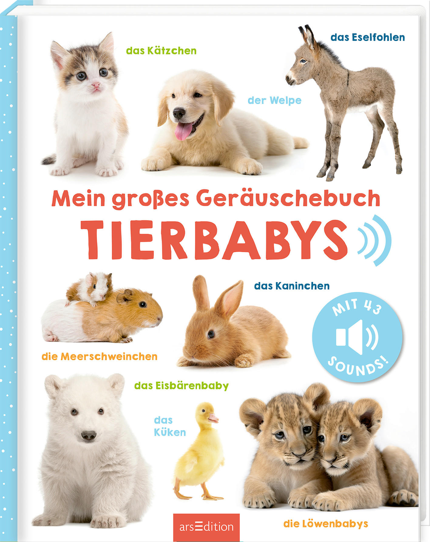 SOUNDBUCH - Multicolor, Basics, Papier (27,7/22,/1,3cm)