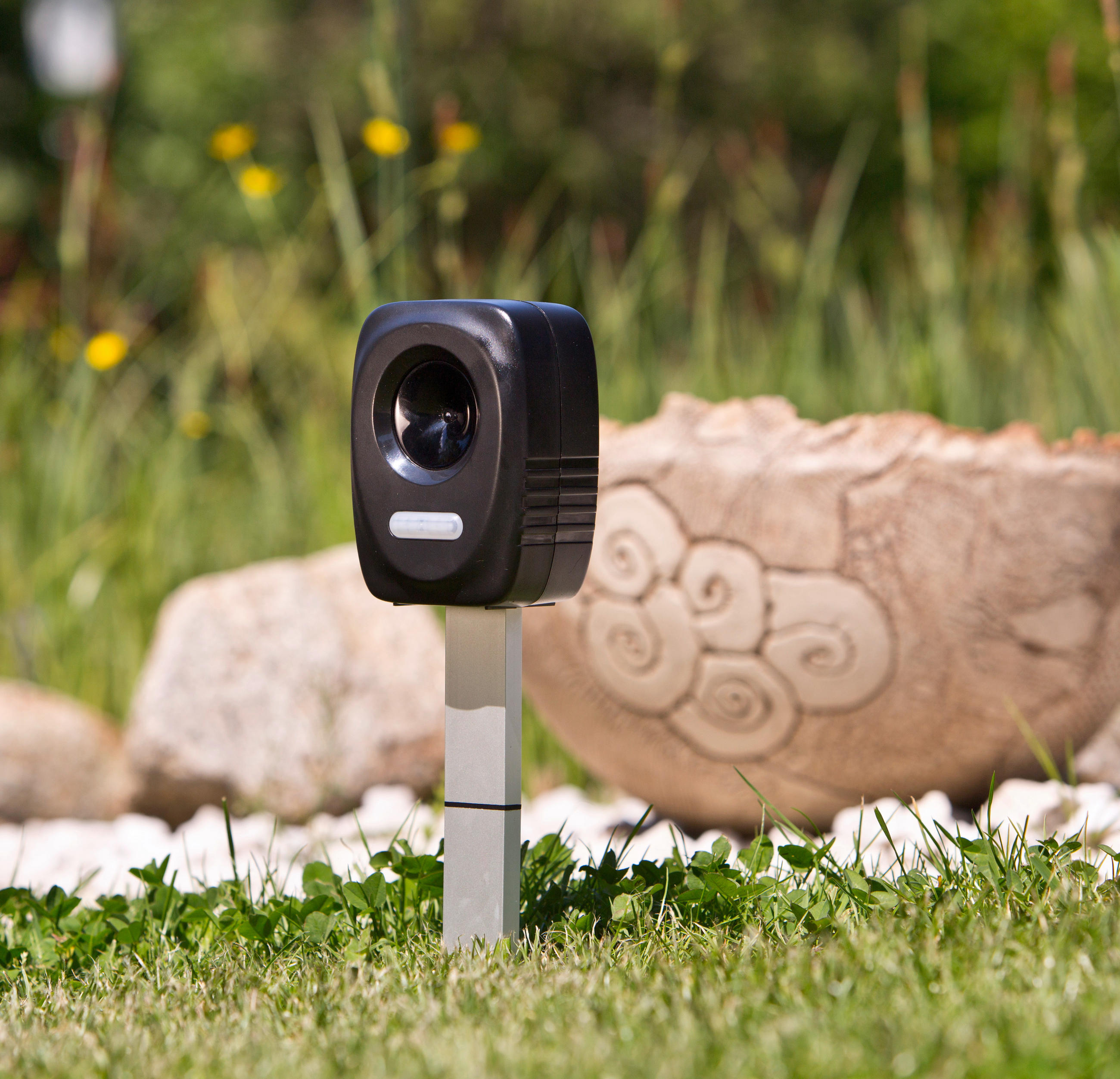 TIERVERTREIBER - Schwarz, Basics, Kunststoff (5,3/8/11,5cm)