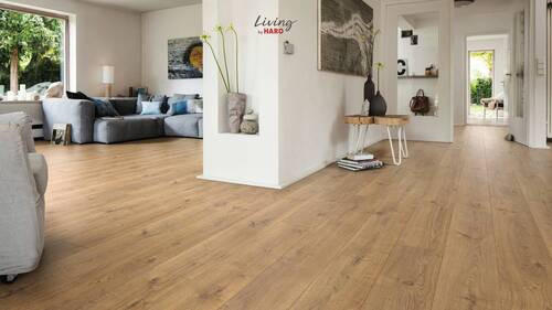 LAMINATBODEN  per  m² - Eichefarben/Braun, Natur, Holzwerkstoff (220/24,3/0,8cm) - Living by HARO