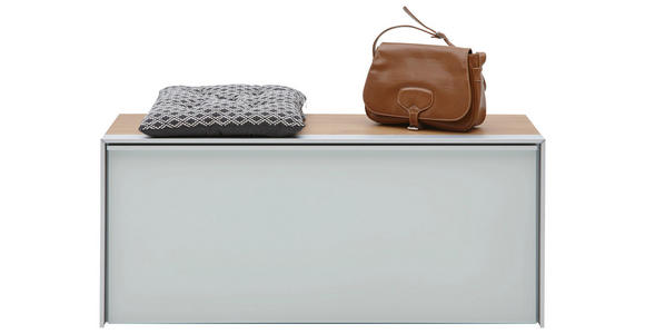 GARDEROBENBANK 102/44/34 cm - Eichefarben/Alufarben, Design, Glas/Holzwerkstoff (102/44/34cm) - Dieter Knoll