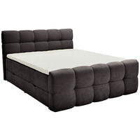 BOXBETT 160/200 cm  in Anthrazit  - Anthrazit/Schwarz, Design, Holz/Kunststoff (160/200cm) - Moderano