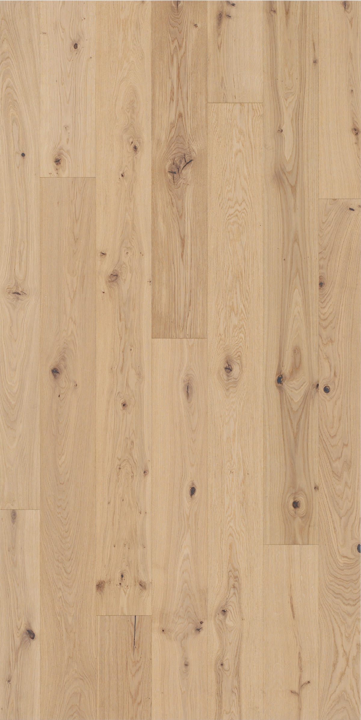 PARKETTBODEN CLASSIC 3060 1739912  per  m² - Hellbraun/Grau, LIFESTYLE, Holz (220/18,5/1,3cm) - Parador