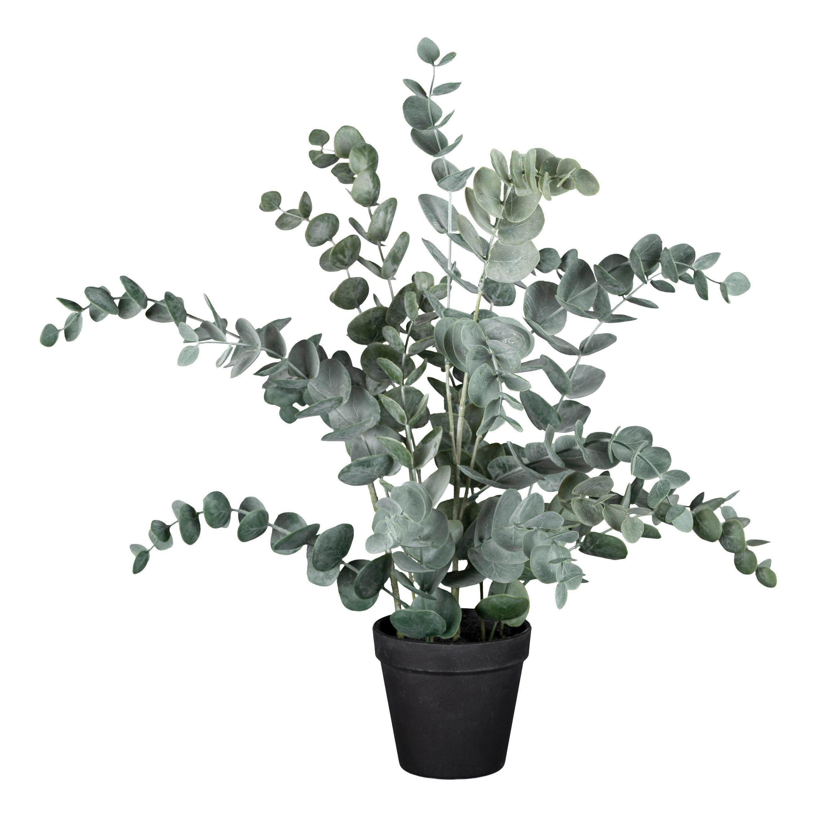 KUNSTPFLANZE 53 cm  - Grau/Grün, Basics, Kunststoff (53cm) - Ambia Home