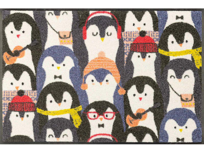 Covoraș De Intrare 50/75 cm