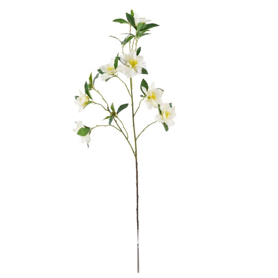 MŰNÖVÉNY - barna/fehér, Basics, műanyag