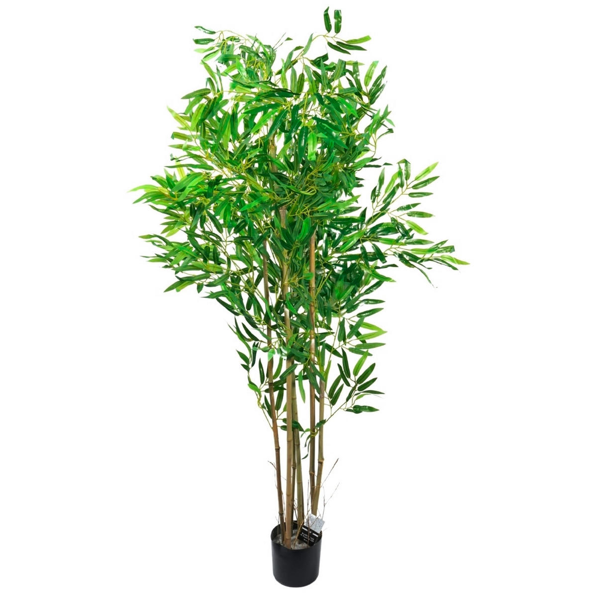 CVIJEĆE UMJETNO  - zelena/bež, Basics, plastika (50/160/50cm)