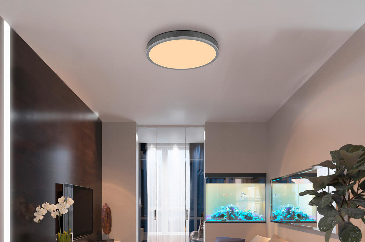 STROPNA LED-SVETILKA  DORO //3000 K/230 V/ - srebrne barve/temno siva, Basics, kovina/umetna masa (45/8,5cm) - Globo