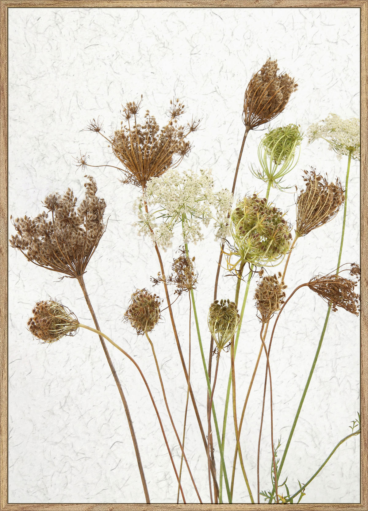 KONSTTRYCK 51,2/71,2 cm  - multicolor/ekfärgad, Basics, papper/trämaterial (51,2/71,2cm) - Monee