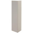 GARDEROBENSCHRANK  in 40/160/33 cm  - Taupe, Design, Holzwerkstoff/Metall (40/160/33cm) - Dieter Knoll