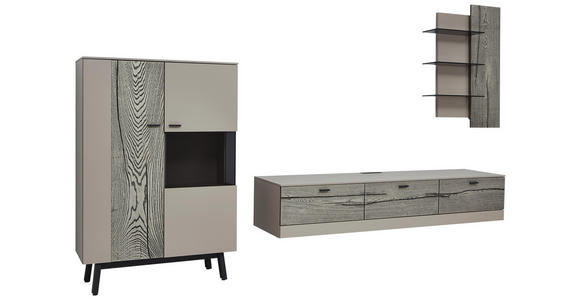 WOHNWAND in Grau, Eichefarben, Fango - Edelstahlfarben/Fango, Design, Glas/Holz (339,5/195,4/41,2cm) - Dieter Knoll