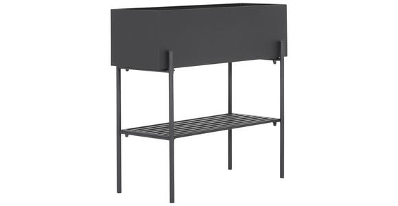 BLUMENSTÄNDER Metall  - Schwarz, Design, Metall (70/65/28cm) - Landscape