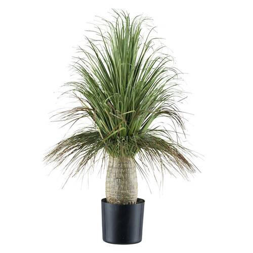 KUNSTPFLANZE Elefantenfuss 60 cm  - Schwarz/Grau, Design, Kunststoff (60cm) - P & B