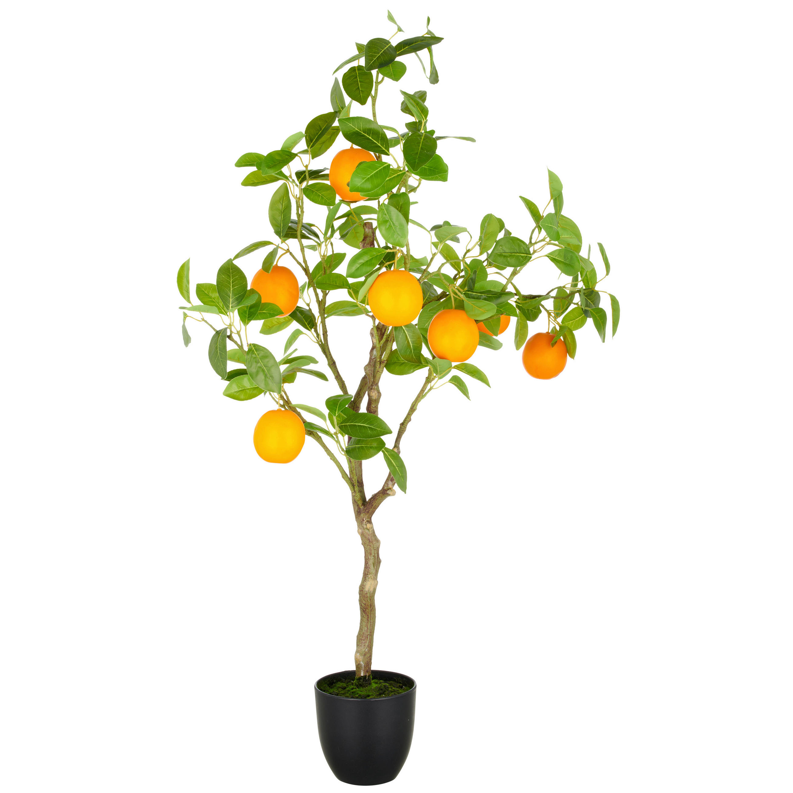 ORANGENBAUM Orange  - Braun/Orange, Basics, Kunststoff (21/115/21cm) - P & B