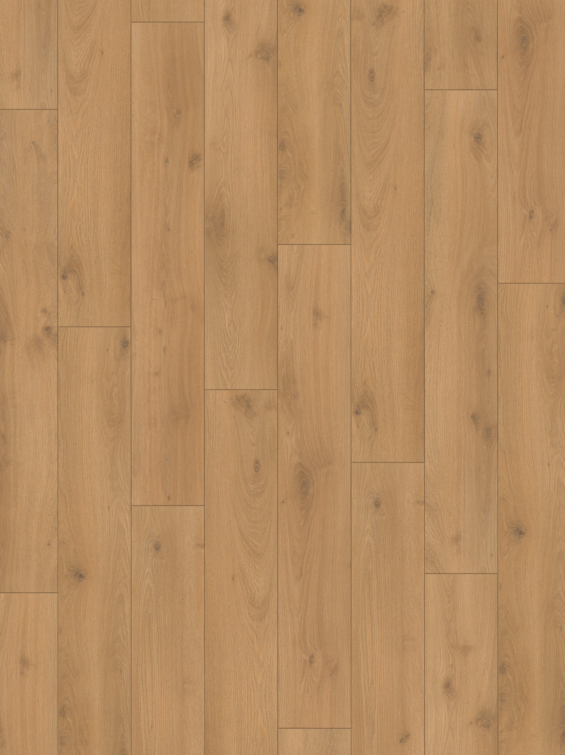 LAMINATBODEN Laminat Classic 1053  per  m² - Eichefarben, Basics, Holzwerkstoff (128.5/19.4/0.8cm) - Parador