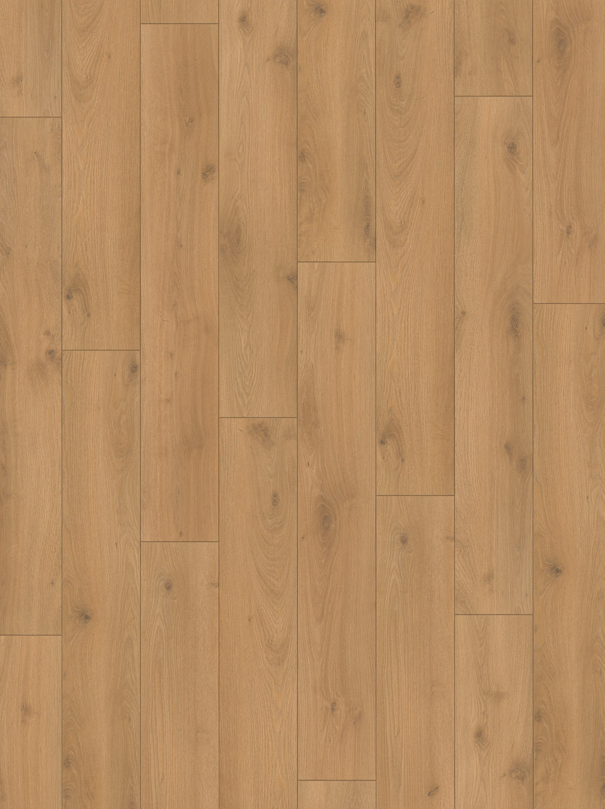 LAMINATBODEN Laminat Classic 1053  per  m² - Eichefarben, Basics, Holzwerkstoff (128.5/19.4/0.8cm) - Parador