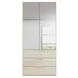 DREHTÜRENSCHRANK 101/223/61 cm,  in Champagner, 2-türig  - Champagner, Basics, Glas/Holzwerkstoff (101/223/61cm) - Novel