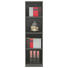 REGAL Anthrazit - Anthrazit, Design, Holzwerkstoff (40/148,5/40cm) - MODERANO