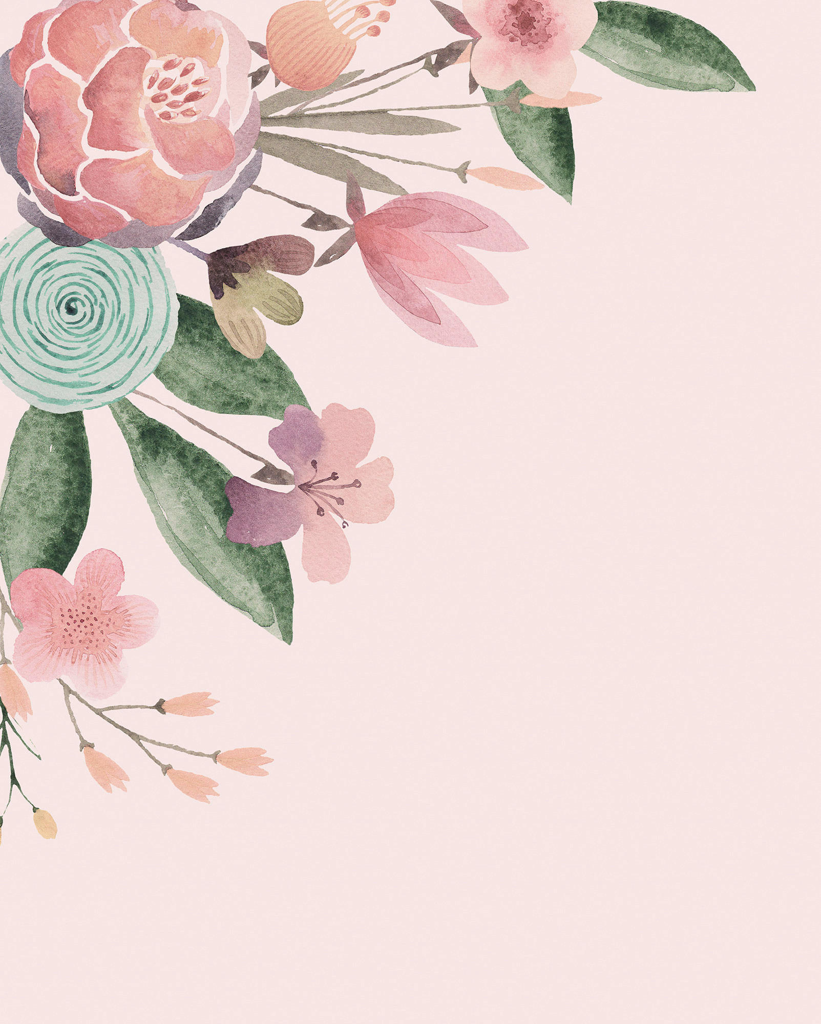 VLIESTAPETE  - Rosa/Weiß, Basics (200/250cm) - Xora