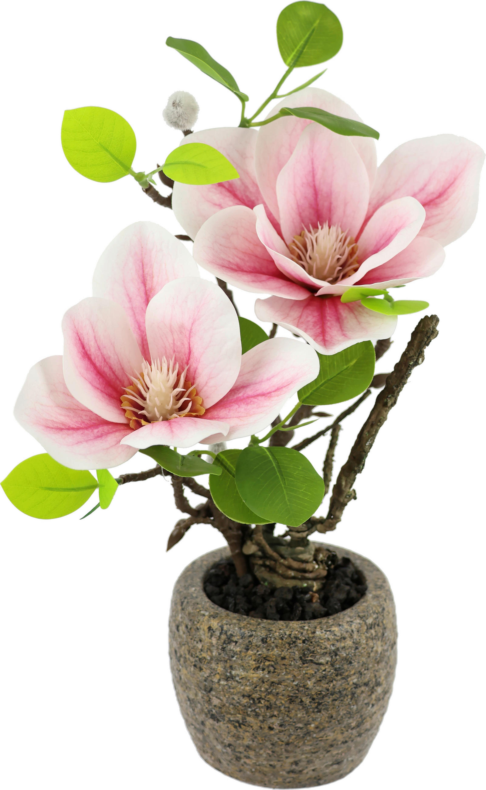 MAGNOLIE  - Rosa, Basics (13/33cm)