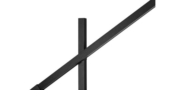 LED-STEHLEUCHTE 27-150/19/162-248 cm - Schwarz, Design, Metall (27-150/19/162-248cm) - Dieter Knoll