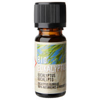ÄTHERISCHES ÖL 10 ml Eukalyptus  - Naturfarben, Basics, Glas (10ml)