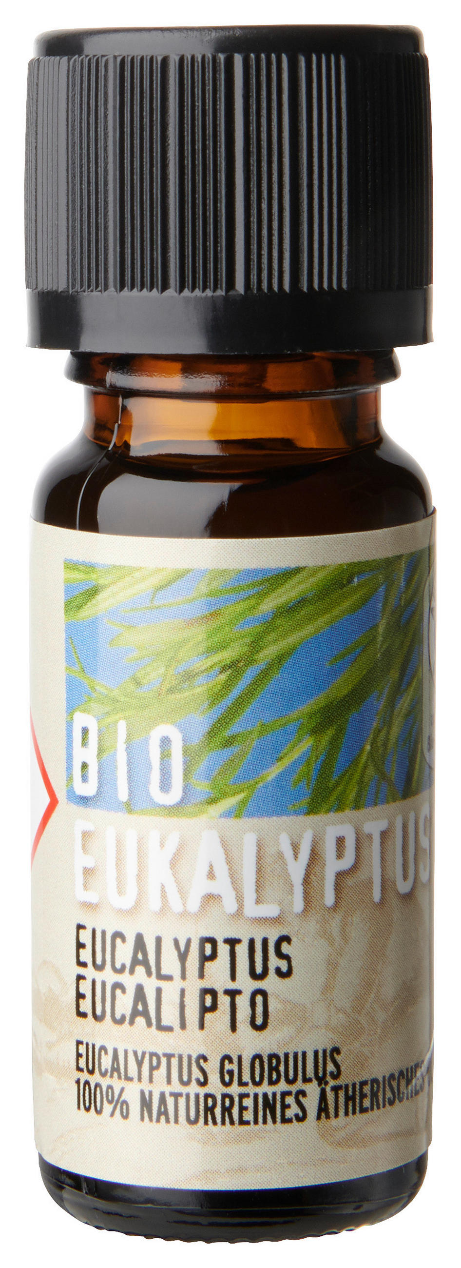 ÄTHERISCHES ÖL 10 ml Eukalyptus  - Naturfarben, Basics, Glas (10ml)