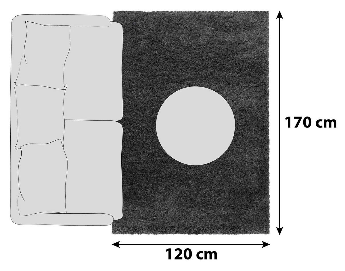 HOCHFLORTEPPICH 120/170 cm Fluffy 3500 Grey Grau  - Grau, Basics, Textil (120/170cm)