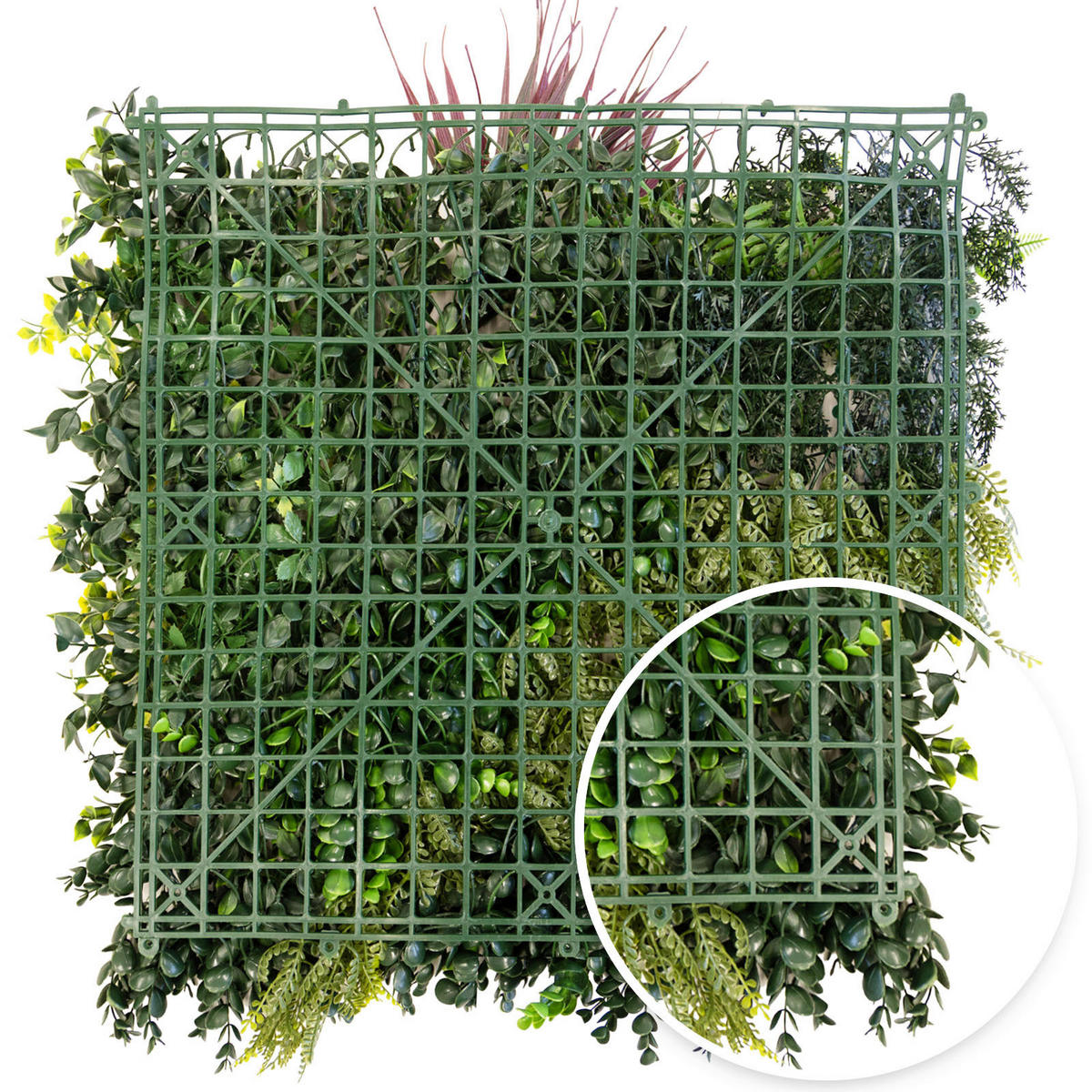 Wandverkleidung Pflanzenwand   - Trend (50/50cm) - Floordirekt