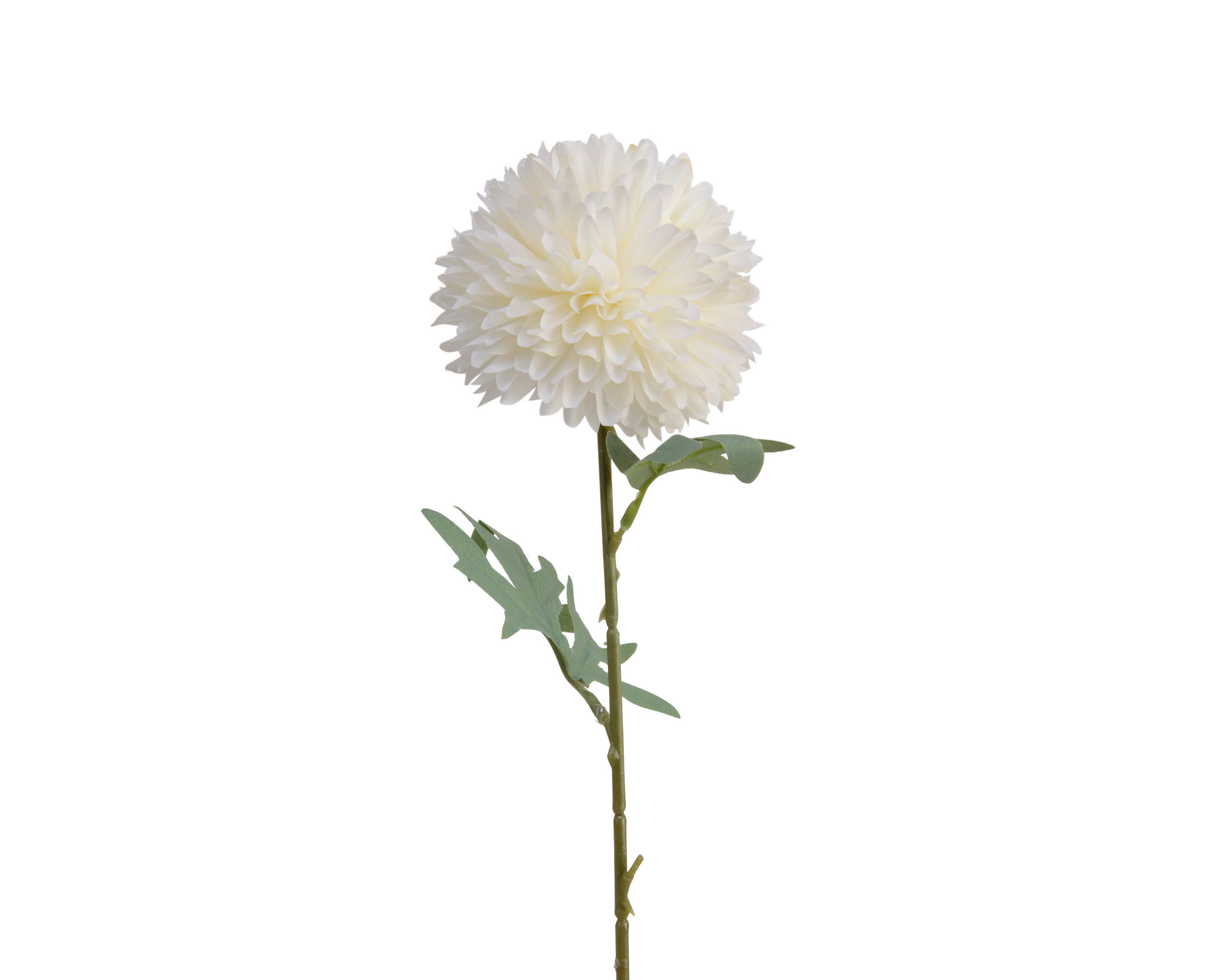 HORTENSIE - Basics, Kunststoff (60cm)