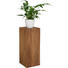 BLUMENSÄULE in Holz 30/75/30 cm - Teakfarben, Trend, Holz (30/75/30cm) - Ambia Home BLUMENSÄULE in Holz 30/75/30 cm - Teakfarben, Trend, Holz (30/75/30cm) - Ambia Home