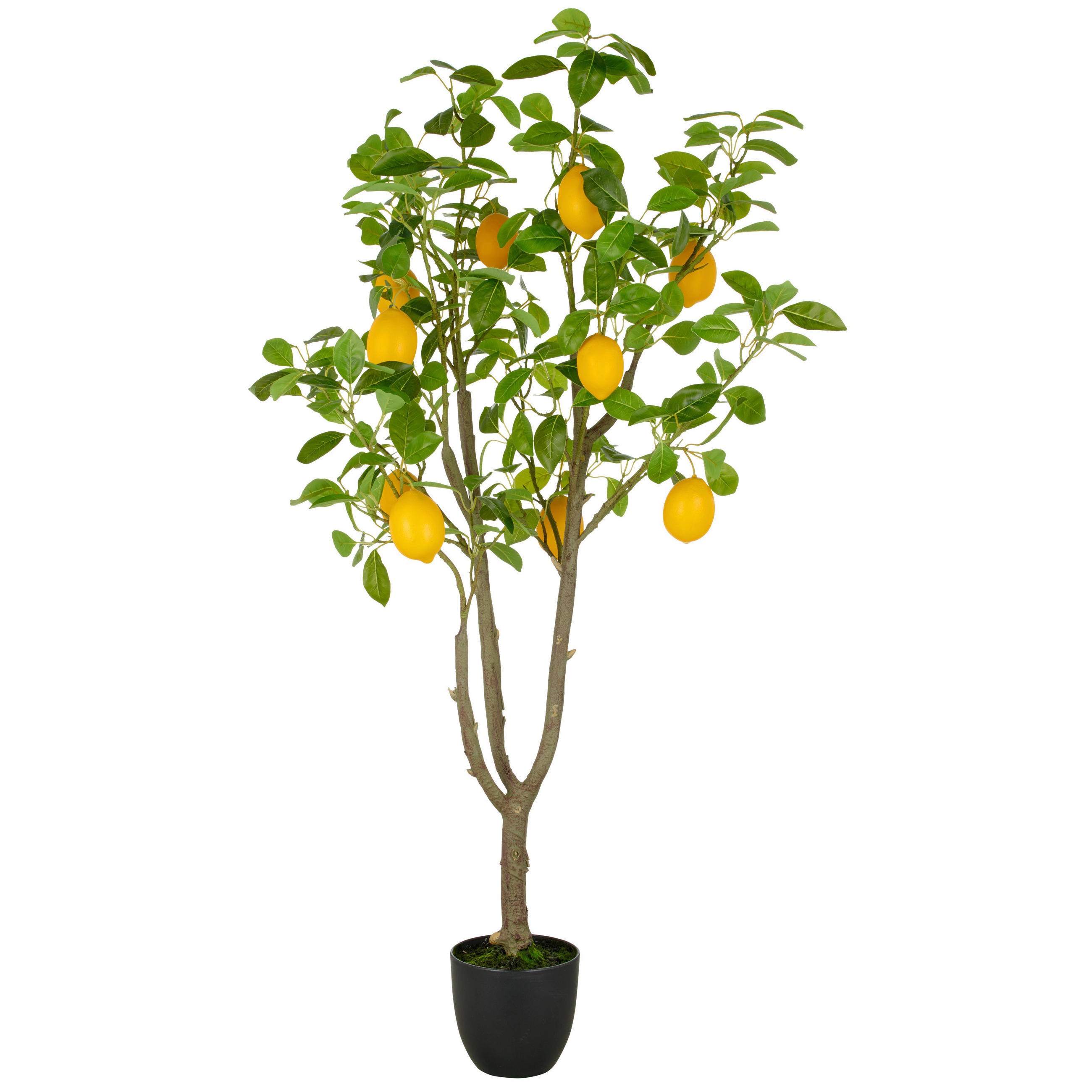 KUNSTPFLANZE  - Gelb/Braun, Basics, Kunststoff (21/145/21cm)