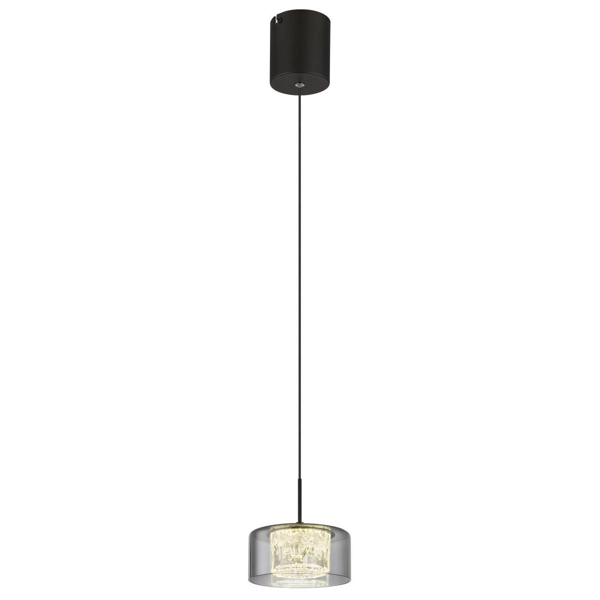 LED FÜGGŐLÁMPA 15/150 cm  - fekete/átlátszó, Basics, műanyag/Üveg (15/150cm)