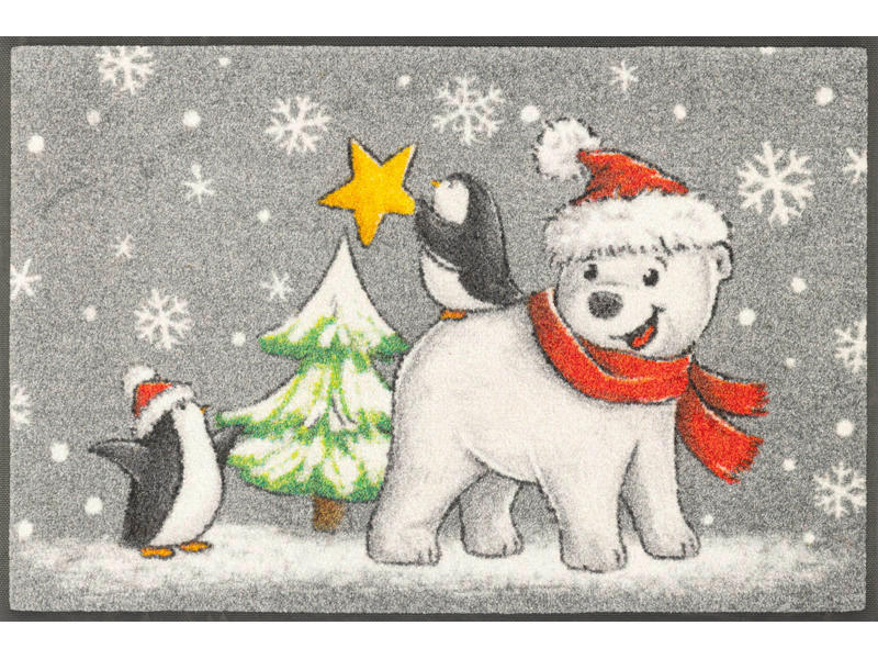 Covoraș De Intrare 50/75 cm