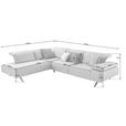 ECKSOFA  in Echtleder Silberfarben  230/290 cm  - Dunkelgrau/Anthrazit, Design, Leder/Metall (230/290cm) - Johann Jakob