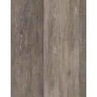 DESIGNBODEN  per  m² - Eichefarben, Basics, Kunststoff (121/25/0.75cm)