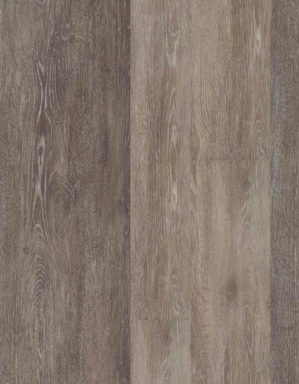 DESIGNBODEN  per  m² - Eichefarben, Basics, Kunststoff (121/25/0.75cm)