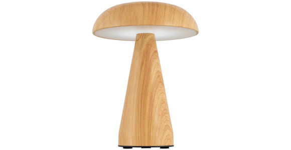 TISCHLEUCHTE - Naturfarben, Trend, Kunststoff/Metall (15,5/21cm) - Novel