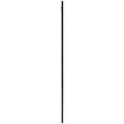 WANDSPIEGEL 78/165/2,5 cm    in Freiform  - Schwarz, Trend, Glas/Holzwerkstoff (78/165/2,5cm) - Landscape