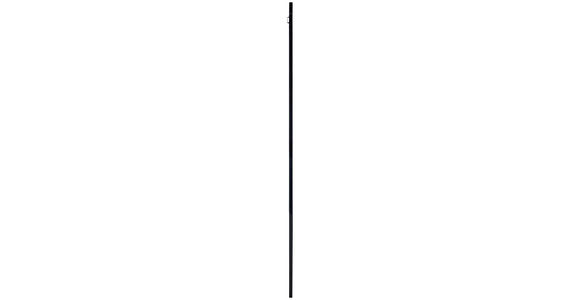 WANDSPIEGEL 78/165/2,5 cm in Freiform - Schwarz, Trend, Glas/Holzwerkstoff (78/165/2,5cm) - Landscape