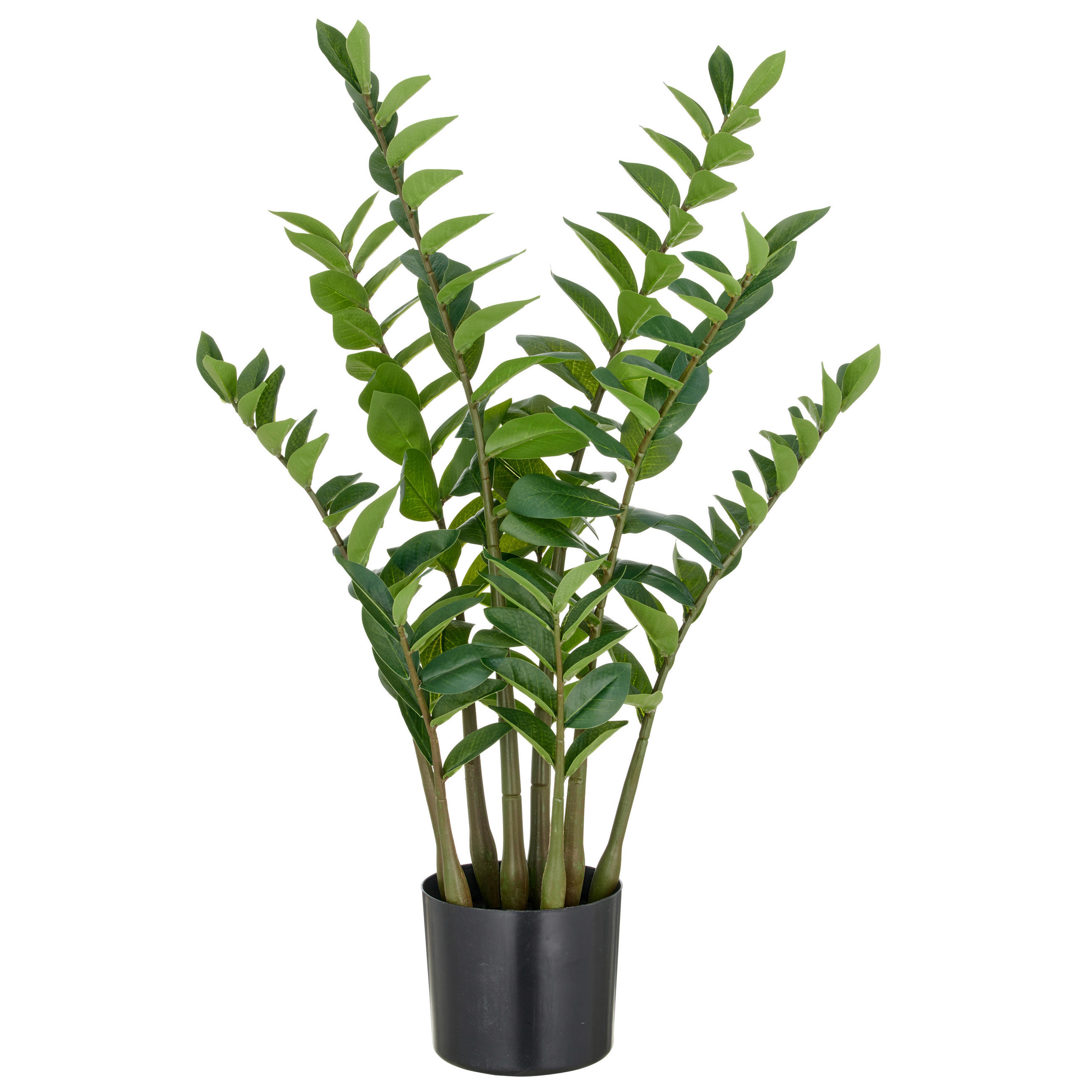 KUNSTPFLANZE Glücksfeder 90 cm  - Schwarz/Braun, Basics, Kunststoff (90cm) - P & B