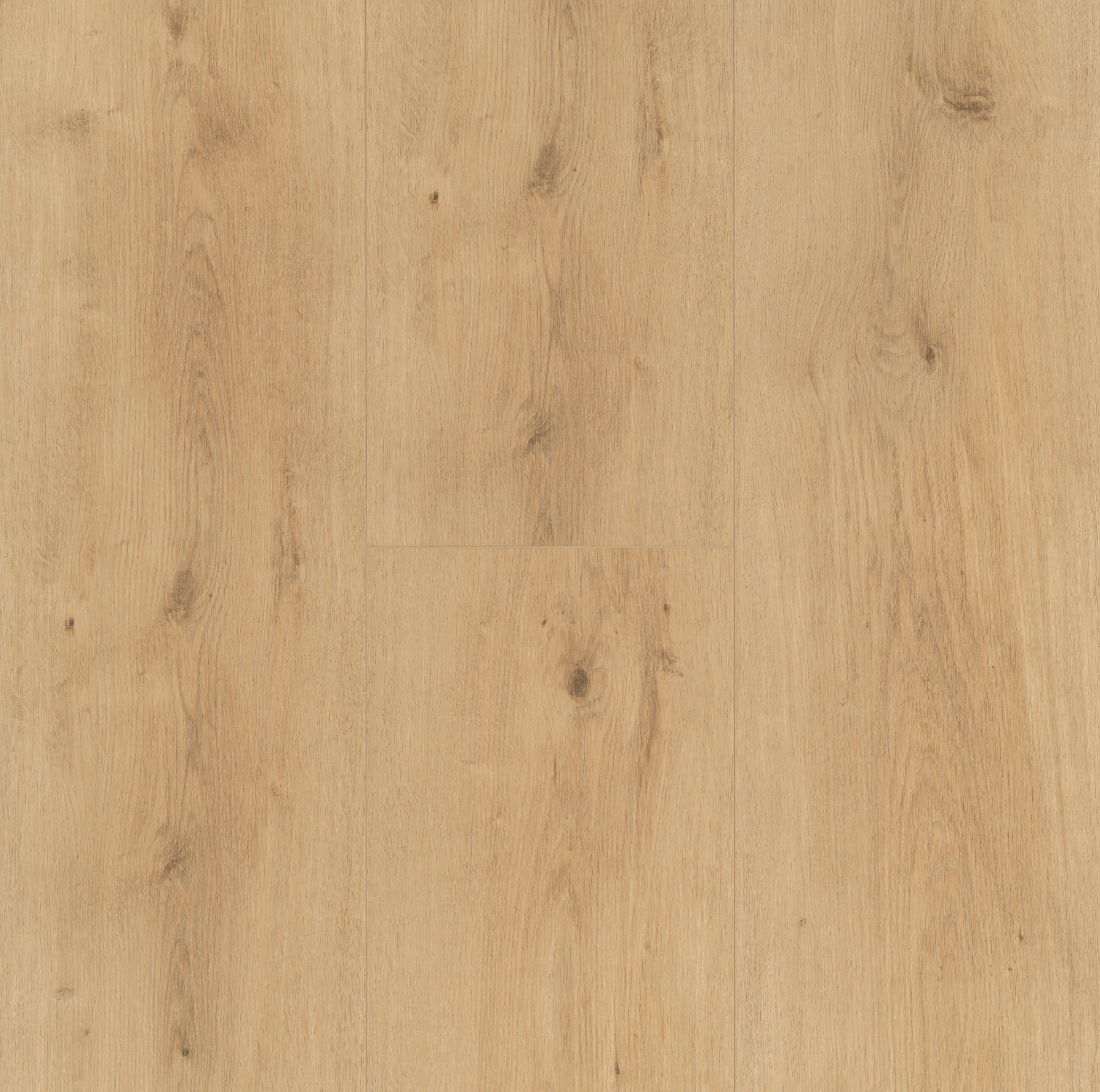 DESIGNBODEN Modular ONE  per  m² - Eichefarben, Design, Holz (220/23.5/0,8cm) - Parador